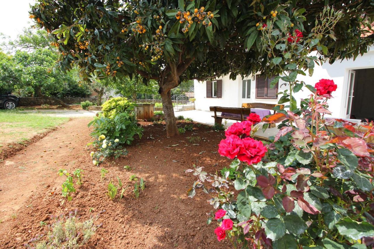 로비니 Casa Lidija 아파트 외부 사진